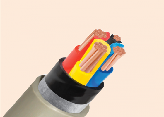 CÁP ĐIỆN KẾ DK - CVV - 0.6/1 kV