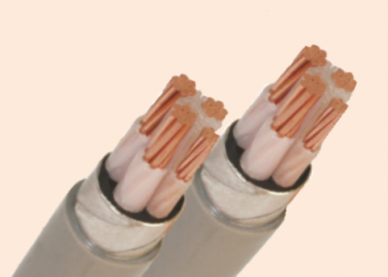 CÁP ĐIỆN KẾ DK - CXV - 0.6/1 kV