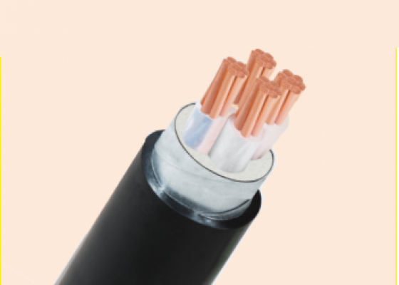 CÁP ĐIỆN LỰC, RUỘT ĐỒNG, CÁCH ĐIỆN XLPE, GIÁP BĂNG KIM LOẠI,VỎ PVC ( CXV/DATA & DSTA - 0,6/1kV)