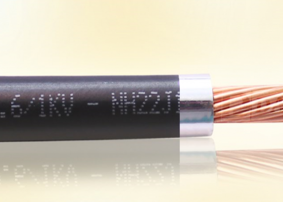 CÁP ĐIỆN LỰC, RUỘT ĐỒNG, CÁCH ĐIỆN PVC (CV - 450/750V & 0,6/1kV)