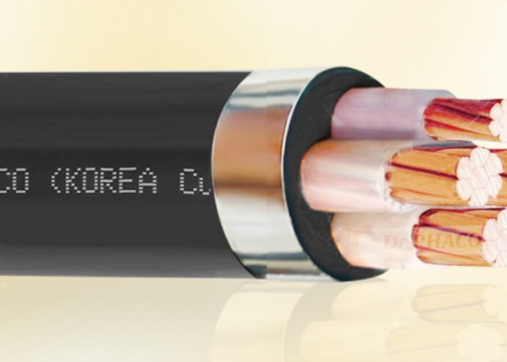 CÁP ĐIỆN LỰC, RUỘT ĐỒNG, CÁCH ĐIỆN XLPE, VỎ BỌC PVC (CXV - 0.6/1kV)