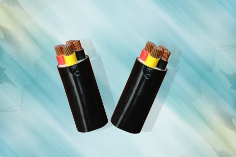 CÁP ĐIỆN LỰC, RUỘT ĐỒNG, CÁCH ĐIỆN PVC, VỎ PVC (CVV – 300/500 V)