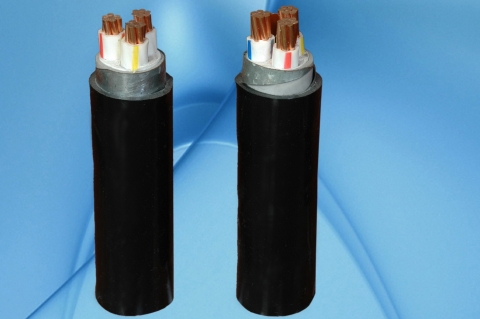  CÁP ĐIỆN LỰC, RUỘT ĐỒNG, CÁCH ĐIỆN XLPE, GIÁP BĂNG KIM LOẠI, VỎ PVC (CXV/DATA − 0,6/1 KV & CXV/DSTA − 0,6/1 KV)